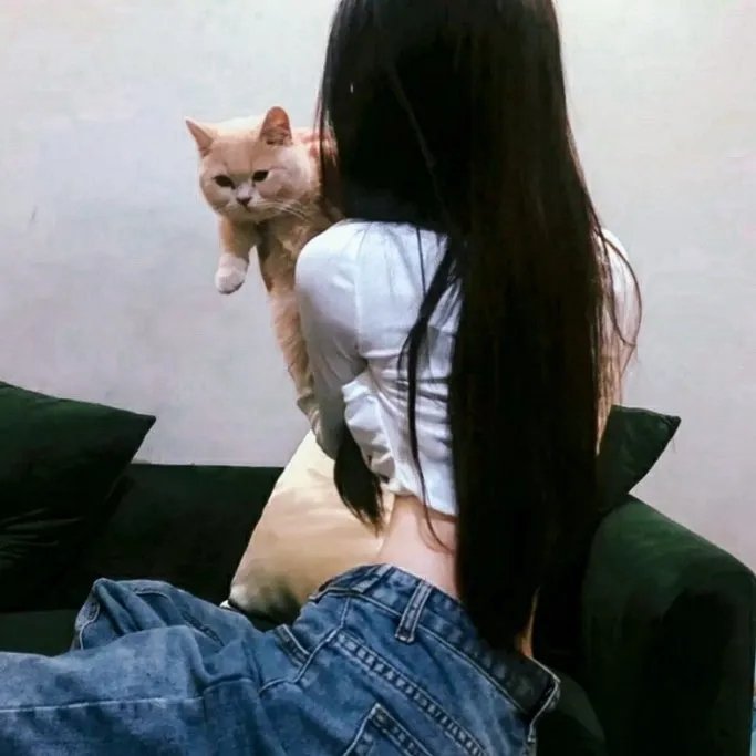生命骑士